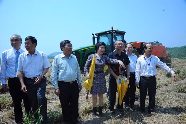 Lãnh đạo tỉnh Gia Lai tham quan thực tế dự án trồng cỏ. Ảnh: H.N.C