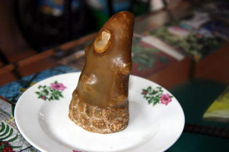 Sau ngày 15-3, các sản phẩm, vật phẩm từ sừng tê giác sẽ bị cấm mua bán.