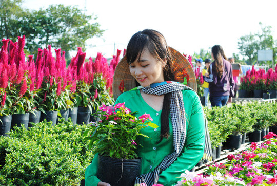 Rất nhiều du khách chọn Sa Đéc làm nơi tham quan, nghỉ dưỡng