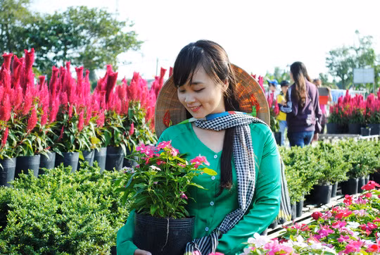 Rất nhiều du khách chọn Sa Đéc làm nơi tham quan, nghỉ dưỡng