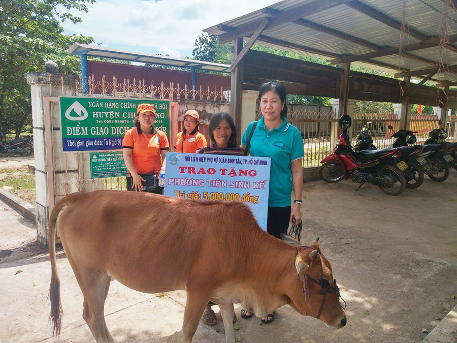 Trao bò cho gia đình hội viên phụ nữ nghèo. Ảnh: Q.T