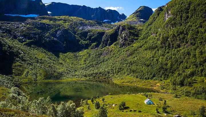 Có vẻ như thiên nhiên đã sử dụng tất cả các sắc thái của màu xanh lá cây cho không gian xung quanh ngôi nhà này.