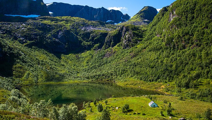 Có vẻ như thiên nhiên đã sử dụng tất cả các sắc thái của màu xanh lá cây cho không gian xung quanh ngôi nhà này.