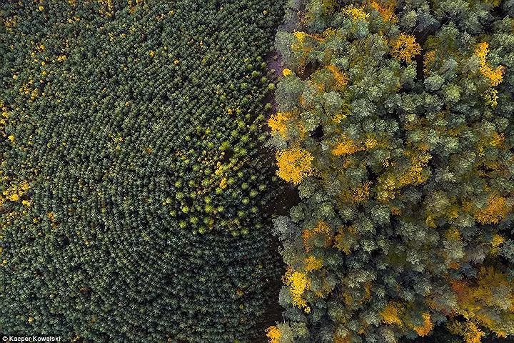  Thời gian chụp ảnh trên không của Kacper Kowalski khoảng 2 tiếng.