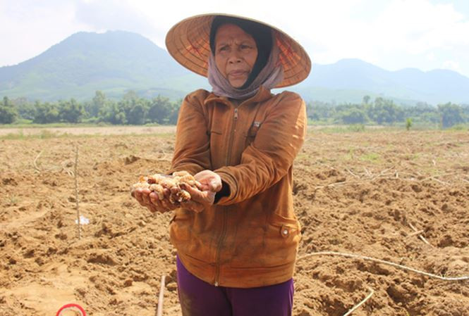  Thành quả