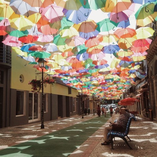  Một con đường tại thành phố Águeda, Bồ Đào Nha trong mùa Lễ hội Nghệ thuật Ágitagueda 2011. Khách bộ hành bị mê hoặc hoàn toàn bởi con đường được che ô này. 