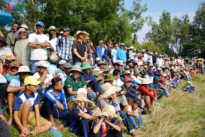 Lễ Hội đua bò Bảy Núi lần thứ 25 được tổ chức tại huyện Tịnh Biên. Lễ Hội đua bò Bảy Núi lần thứ 25 được tổ chức tại huyện Tịnh Biên.