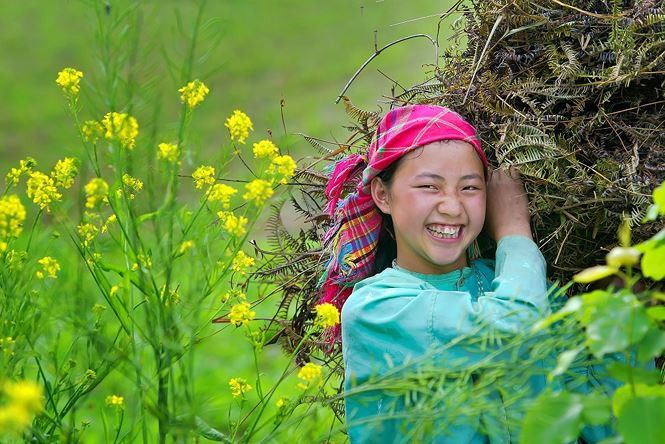 Cô gái nhỏ (Nguyễn Lũy) Cô gái nhỏ (Nguyễn Lũy)