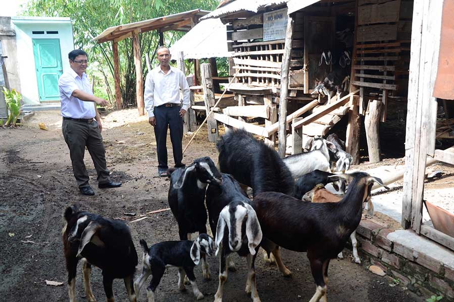  Xã Ia Tul vận động người dân di dời chuồng trại gia súc ra khỏi gầm nhà sàn. Ảnh: T.Đ