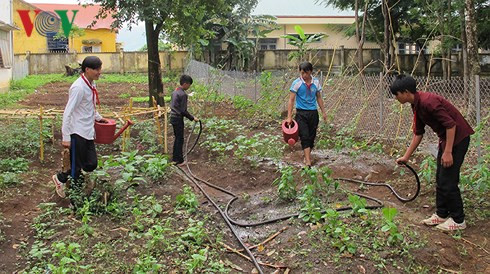  Trường THCS Lê Lợi làm vườn rau hỗ trợ học sinh nghèo về trọ học.