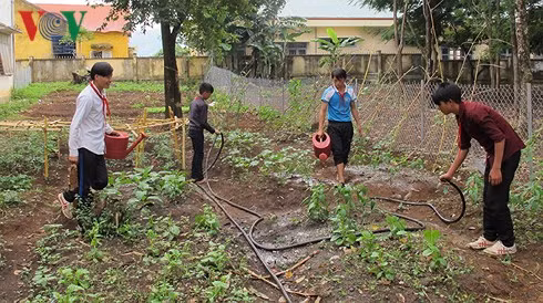  Trường THCS Lê Lợi làm vườn rau hỗ trợ học sinh nghèo về trọ học.