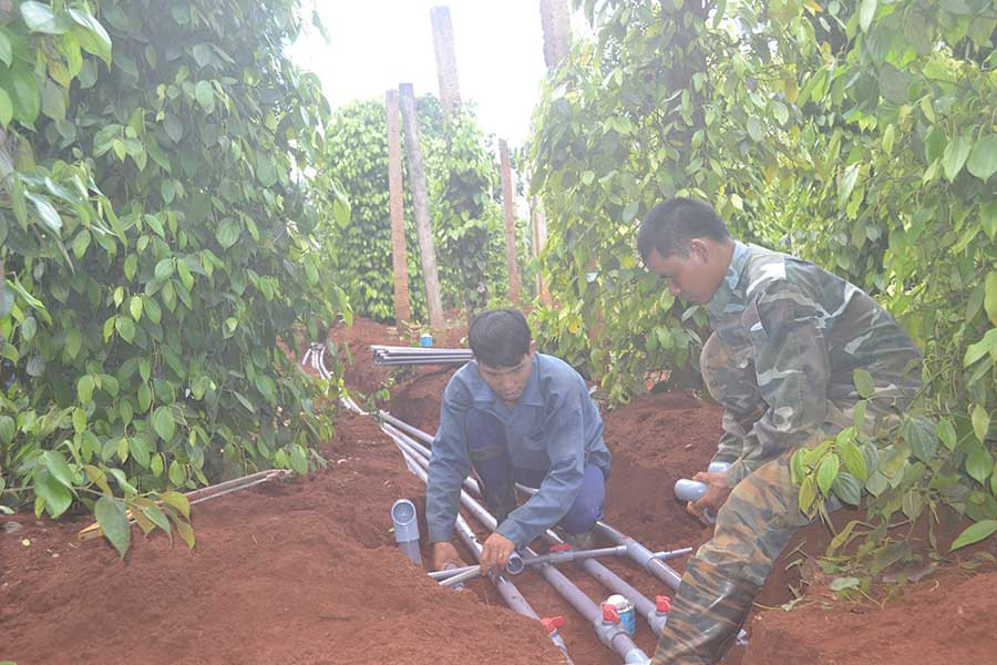 Gia đình anh Rơ Ma Tíu-làng Dơk Lah (xã Ia Dơk) lắp đặt hệ thống tưới tiết kiệm cho cây hồ tiêu để phát triển kinh tế ổn định. Ảnh: Lê Nam