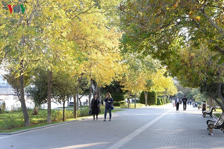 Người dân Baku tản bộ dưới những tán cây đã chuyển sang sắc vàng vào một chiều thu.
