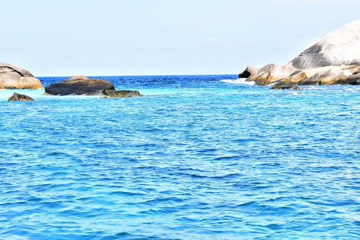 Vĩnh Hy có màu nước xanh ngắt, ở những nơi nước cạn có thể nhìn tận đáy và quan sát được cả hệ sinh thái dưới biển.