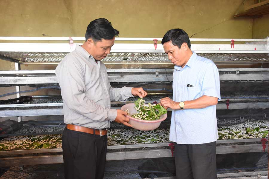  Mô hình nuôi tằm hộ anh Lê Văn Khoa (thôn Lương Hà, xã Ia Blứ, huyện Chư Pưh). Ảnh: L.N