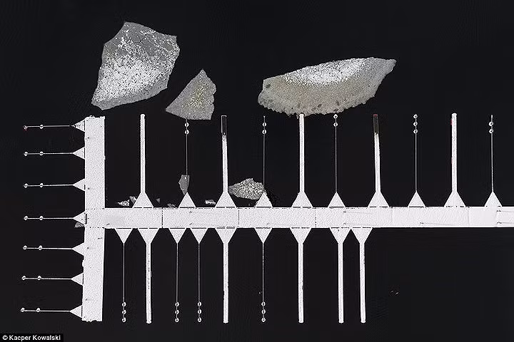 ...và nội dung ảnh không quan trọng bằng những câu hỏi mà người xem ảnh tự đặt ra cho chính mình.