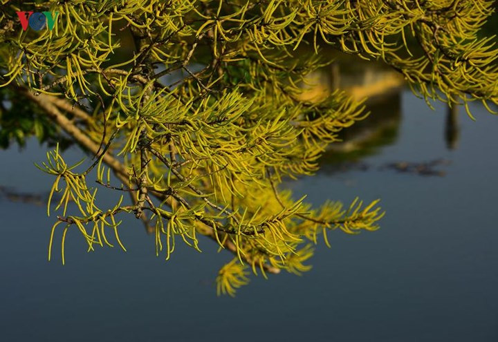  Bình yên là cảm giác của mọi người khi đến Rú Chá thời điểm này.