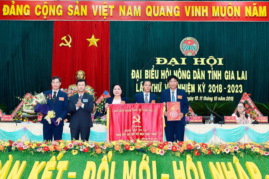  Đồng chí Dương Văn Trang trao tặng bức trướng cho Hội nông dân tỉnh. Ảnh Đức Thụy