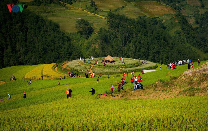 Để lên tận đồi, du khách cần mua vé thăm quan 20 nghìn đồng/người và đi bộ 1,17km hoặc thuê xe máy chở đi với giá từ 40-50 nghìn đồng/khứ hồi. Khách du lịch cũng nên đến sớm để đón bình minh cũng như không gian vắng để có thể khám phá vẻ đẹp của những thửa ruộng bậc thang nơi đây.