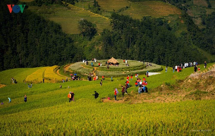 Để lên tận đồi, du khách cần mua vé thăm quan 20 nghìn đồng/người và đi bộ 1,17km hoặc thuê xe máy chở đi với giá từ 40-50 nghìn đồng/khứ hồi. Khách du lịch cũng nên đến sớm để đón bình minh cũng như không gian vắng để có thể khám phá vẻ đẹp của những thửa ruộng bậc thang nơi đây.