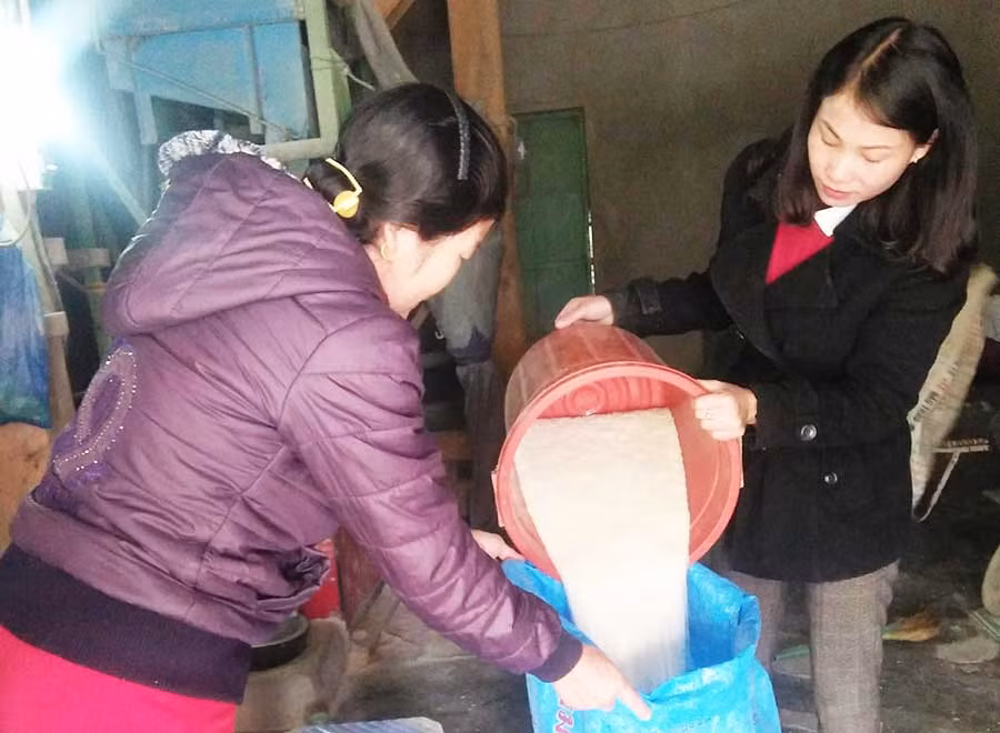 Mô hình “Hũ gạo tình thương” được hội viên phụ nữ các xã, phường tích cực tham gia. Ảnh: N.T