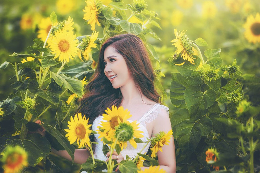  Hot girl Cần Thơ rạng rỡ giữa cánh đồng hoa hướng dương ở Cần Thơ.