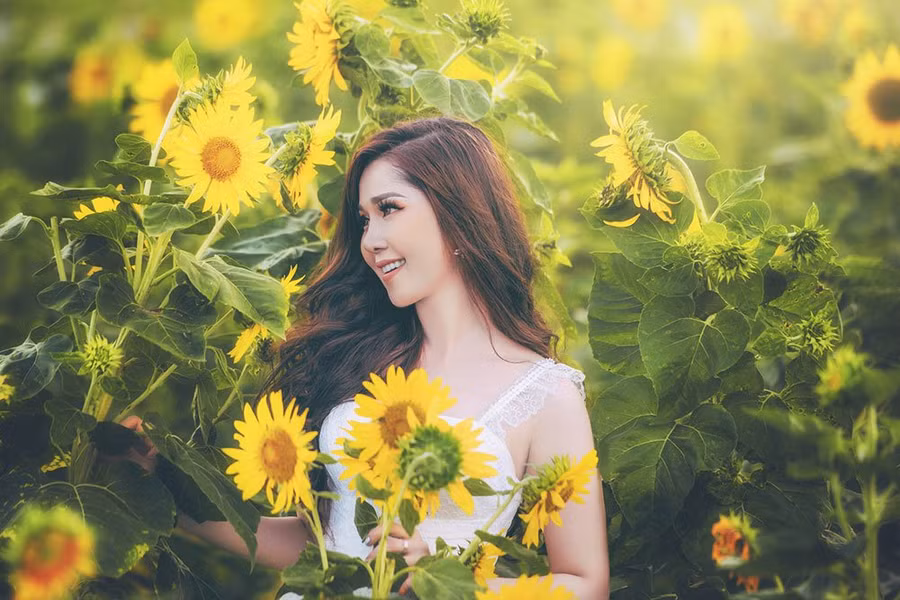  Hot girl Cần Thơ rạng rỡ giữa cánh đồng hoa hướng dương ở Cần Thơ.