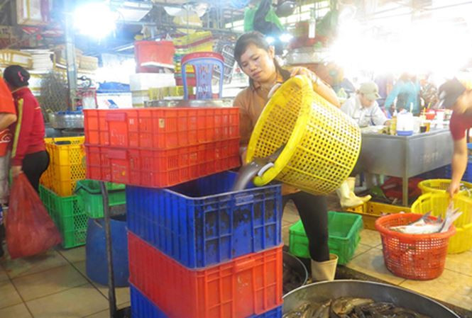 Chị Trịnh Thị Hiếu 40 tuổi, có hơn chục năm kéo cá thuê ở chợ Bình Điền