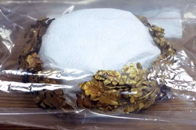 Một trong những chiếc vương miện bằng vàng của kho báu này được cảnh sát tịch thu.