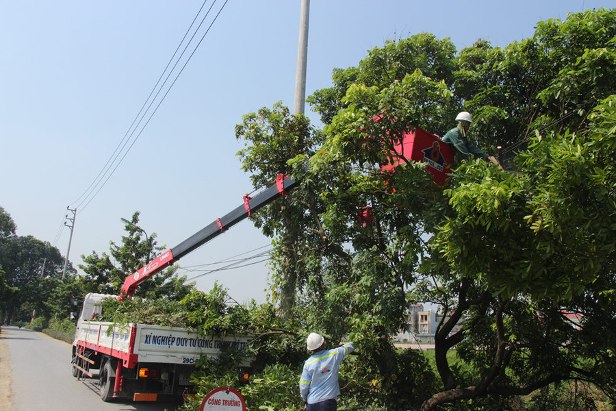Cây xanh dọc đường vào khu mộ được tỉa bớt cành cho các phương tiện thuận lợi di chuyển trong những ngày tổ chức tang lễ cố Tổng bí thư Đỗ Mười