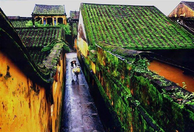 Ảnh nguồn internet