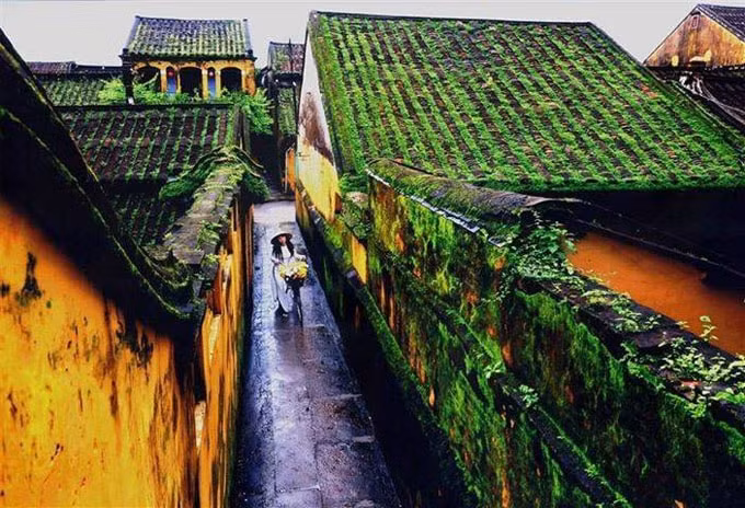 Ảnh nguồn internet