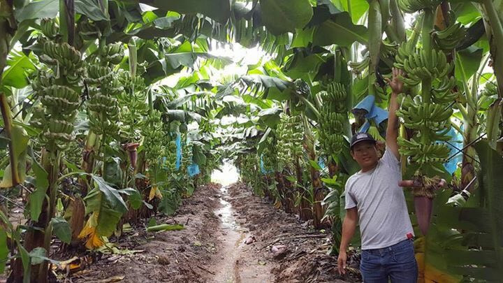 Ảnh nguồn internet