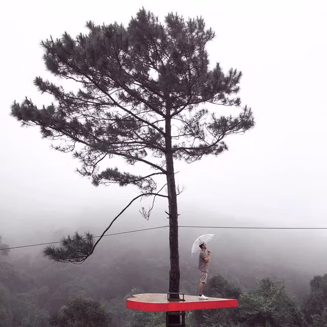 Để đến được đây, từ trung tâm thành phố Đà Lạt, bạn di chuyển theo đường Hoàng Văn Thụ – Làng hoa Vạn Thành – Đèo Tà Nung, đi khoảng 4km khu du lịch này nằm ở phía bên tay trái. Ảnh: @taiinguyn__