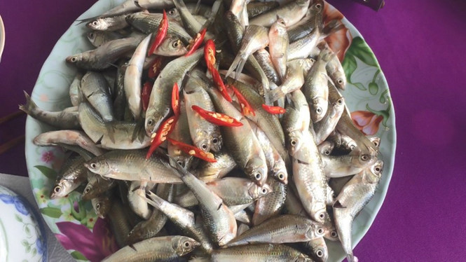  Về Sài Gòn không dễ kiếm cá linh 