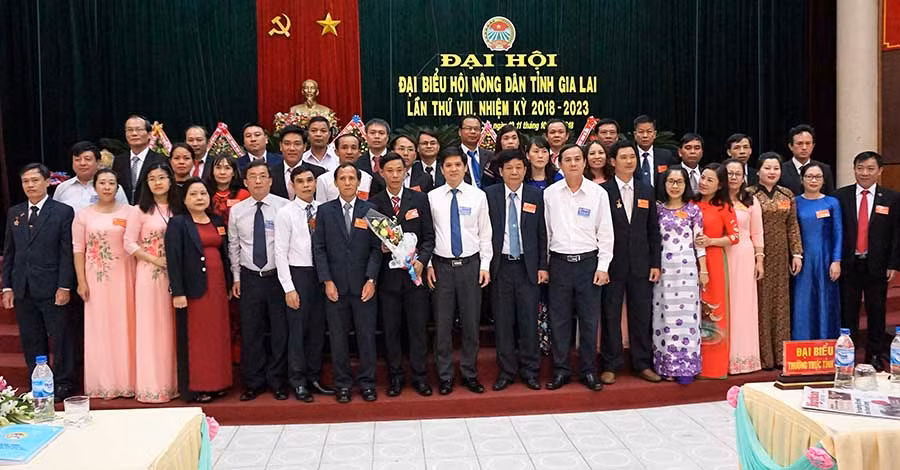  Ra mắt Ban chấp hành Hội Nông dân tỉnh Gia Lai, khóa VIII, nhiệm kỳ 2018-2023. Ảnh. Minh Triều