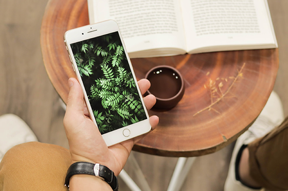  iPhone 7 Plus cũ đang có giá bán 10,7 triệu đồng 