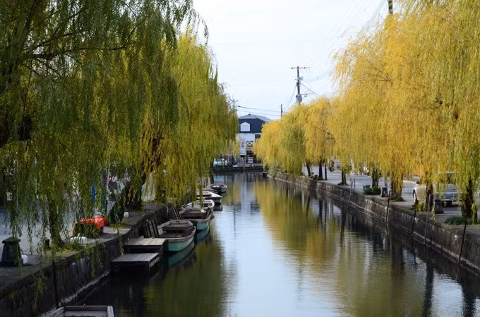 Điểm thu hút chính của Yanagawa là trải nghiệm ngồi thuyền ngắm cảnh quanh thị trấn. Nếu như ở Italy, những chiếc thuyền chở khách gọi là gondola, ở Yanagawa gọi là 