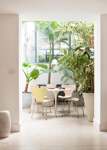 Trong các bức tranh phong cảnh, họa sĩ đã vẽ cây xanh lên các mép tranh tạo cảm giác không gian vượt ra được giới hạn của khung tranh. Đây chính là thủ thuật chúng ta có thể dễ dàng thực hiện với một vài cây cảnh trong phòng đặt ở tường, gần cửa sổ hoặc trước gương. Trong các bức tranh phong cảnh, họa sĩ đã vẽ cây xanh lên các mép tranh tạo cảm giác không gian vượt ra được giới hạn của khung tranh. Đây chính là thủ thuật chúng ta có thể dễ dàng thực hiện với một vài cây cảnh trong phòng đặt ở tường, gần cửa sổ hoặc trước gương.