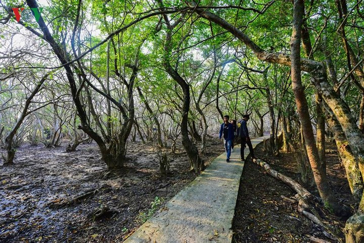 Con đường bê tông giúp khách tham quan dễ dàng đi lại vào sâu trong rú.