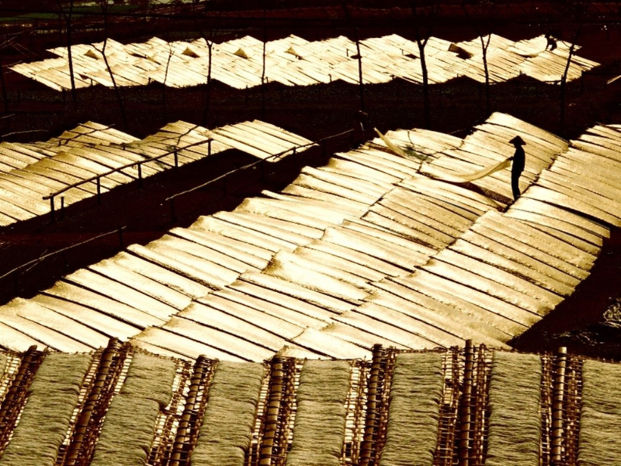  Làng miến Cự Đà (Thanh Oai) 'Được nắng.' (Ảnh: Văn Phúc)