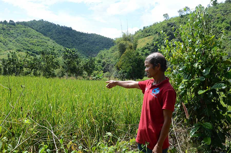  Ông Hjăo bên ruộng lúa nước xanh tốt của gia đình. Ảnh: P.L