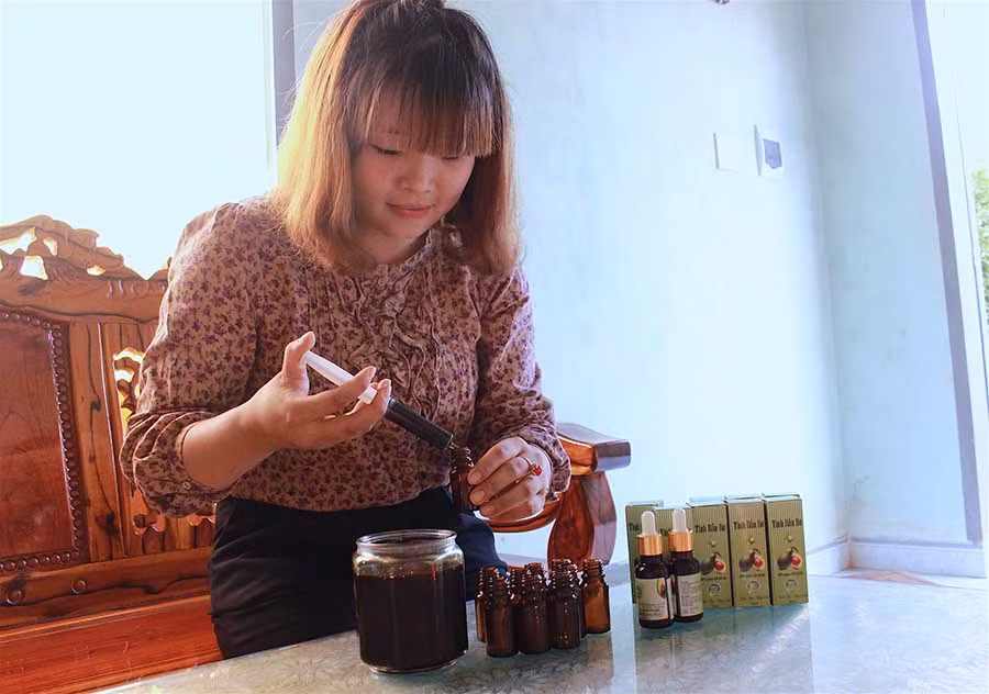 Chị Thủy đang chiết tinh dầu bơ vào lọ thủy tinh để đóng hộp bán. Ảnh: Hồng Thi