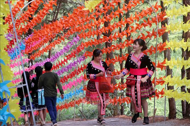 Đường lên khu du lịch đồi thông được trang trí bởi hàng nghìn chiếc chong chóng với đủ màu sắc.