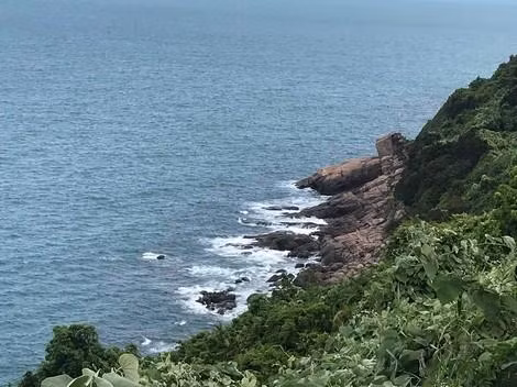 Đoạn Mũi Nghê nơi tìm thấy du khách người Anh bị lạc trong rừng Sơn Trà nhiều ngày liền. Ảnh: NLĐ