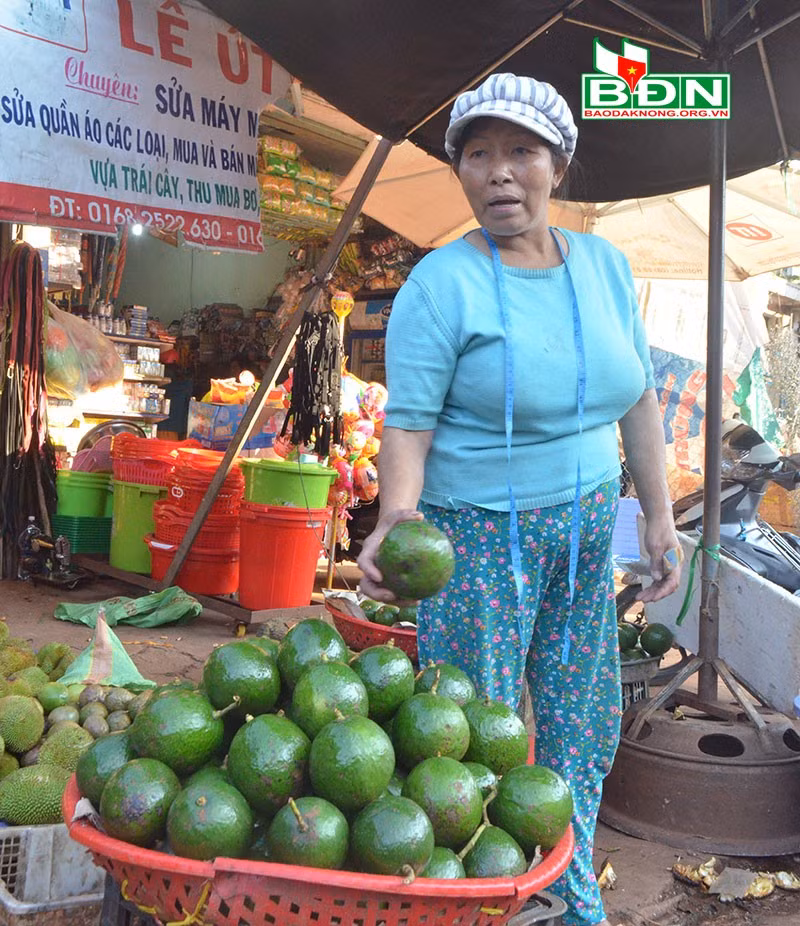 Bà Trần Thị Lệ Thu, tư thương ở chợ Gia Nghĩa đang mua bơ booth với giá từ 20.000 đồng - 30.000 đồng/kg