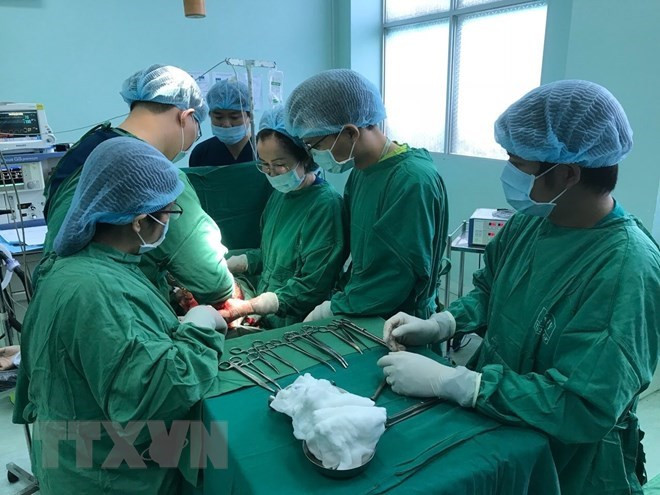 Ảnh minh họa. (Nguồn: TTXVN) Ảnh minh họa. (Nguồn: TTXVN)