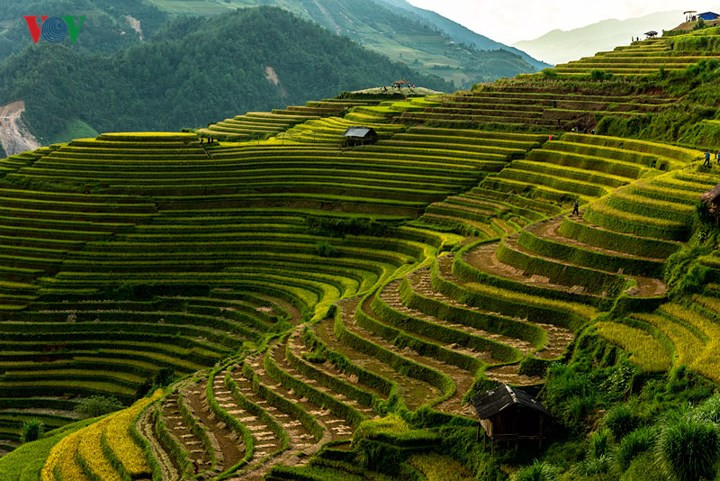  Đồi mâm xôi ở La Pán Tẩn nổi tiếng là địa danh du lịch hấp dẫn của huyện Mù Cang Chải, Yên Bái bởi hình dạng độc đáo của chính thửa ruộng bậc thang. Đây cũng là nơi được các phượt thủ đánh giá là thửa ruộng bậc thang đẹp nhất vùng Tây Bắc.