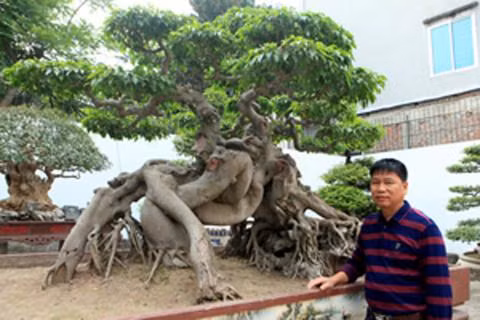 Chân dung Toàn 