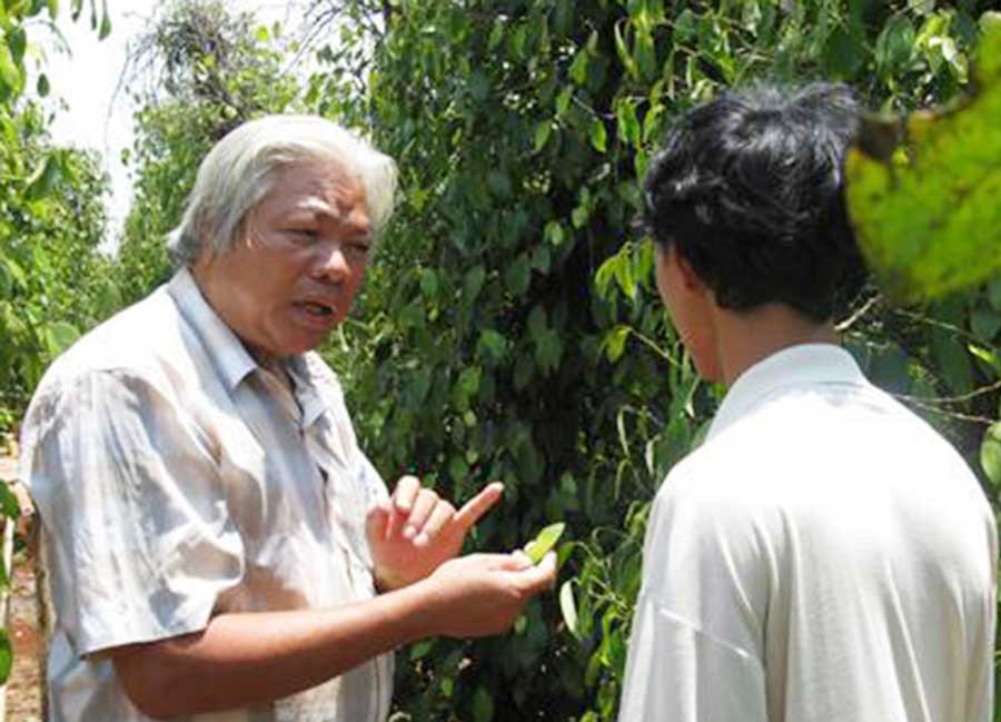 Phó Chủ tịch Hiệp hội Hồ tiêu Chư Sê Hoàng Phước Bính (trái) hướng dẫn người dân cách phòng trừ sâu bệnh cho cây hồ tiêu. (Ảnh nguồn internet)  Phó Chủ tịch Hiệp hội Hồ tiêu Chư Sê Hoàng Phước Bính (trái) hướng dẫn người dân cách phòng trừ sâu bệnh cho cây hồ tiêu. (Ảnh nguồn internet)